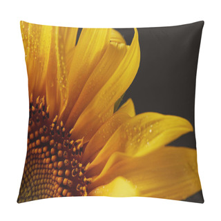 Personality  Close Up Of Wet Orange Sunflower Petals, Isolated On Black Pillow Covers