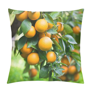 Personality  Orange Plantation Pillow Covers