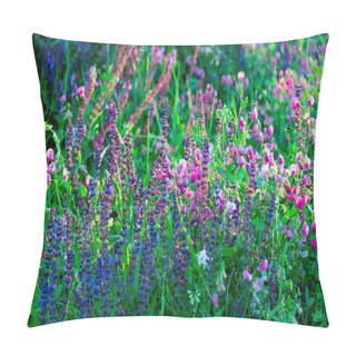 Personality  Beautiful Wildflowers On A Green Meadow. Warm Summer Evening With A Bright Meadow During Sunset. Grass Silhouette In The Light Of The Golden Setting Sun. Beautiful Nature Landscape With Sunbeams. Pillow Covers