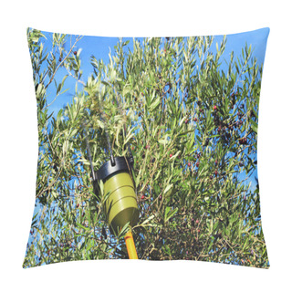 Personality  Harvest Olives In The Day Pillow Covers