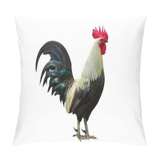 Personality  Rooster Black And White Isolate Hen Pillow Covers
