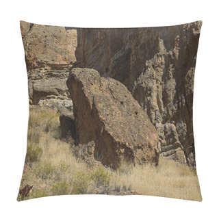 Personality  The Amazing Badlands And Palisades Of The John Day Fossil Beds Clarno Unit And Rock Formations In A Semi Desert Landscape In Oregon State Pillow Covers