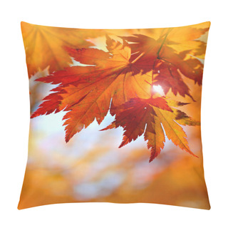 Personality  Autumnal Maple Leaves In Blurred Background Pillow Covers