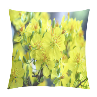 Personality  Apricot Flowers Blooming In Lunar New Year With Yellow Blooming Fragrant Petals Signaling Spring Has Come, This Is The Symbolic Flower For Good Luck Pillow Covers
