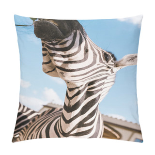 Personality  Low Angle View Of Zebra Muzzle Against Blue Cloudy Sky At Zoo  Pillow Covers
