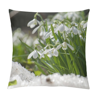 Personality  Snowdrop Blooming In Spring Pillow Covers
