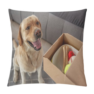 Personality  Pleasured Dog Locating Near Gift Pillow Covers