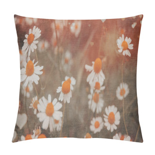 Personality  Summer Meadow, Green Grass Field And Daisy Flowers In Warm Sunlight, Nature Background Concept, Soft Focus, Warm Pastel Tones Pillow Covers