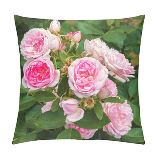 Personality  French Rosehip, Roses With Pink Flowers Pillow Covers