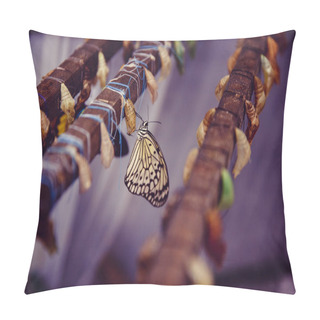 Personality  Concept Transformation Butterfly Pillow Covers