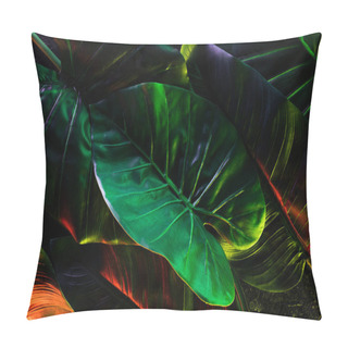 Personality  Full Frame Image Of Beautiful Palm Leaves With Red And Green Lighting  Pillow Covers