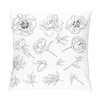 Personality  Peony Flower. Element For Design. Pillow Covers