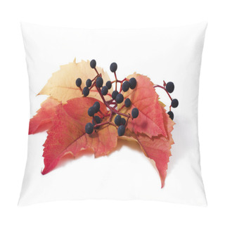 Personality  Parthenocissus Pillow Covers