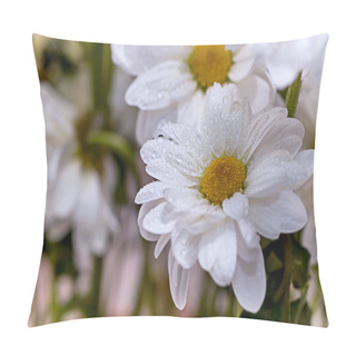 Personality  Camomile Flowers In Water Drops Close-up Pillow Covers