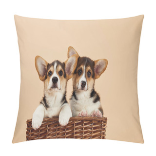 Personality  Cute Welsh Corgi Puppies In Wicker Basket Looking At Camera Isolated On Beige Pillow Covers