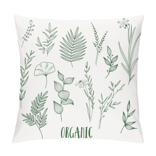 Personality  Plant Nature Hand Drawn Set. Collection Botanical Element. Pillow Covers