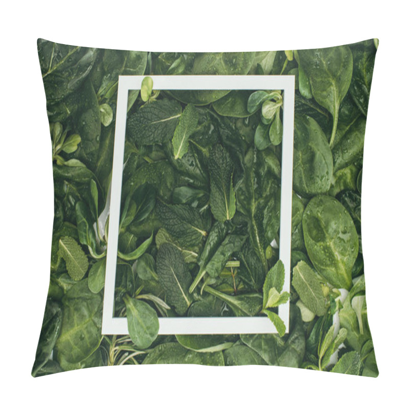 Personality  square white frame and beautiful fresh green leaves with dew drops, floral background pillow covers