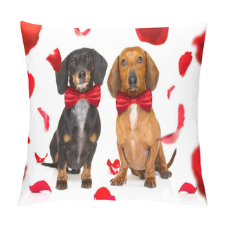 Personality  Couple Of Dachshund  Sausage Dogs  In Love For Happy Valentines Day With  Rose Flower In  Mouth , Isaolated On White Background Petals Flying Around In Air Pillow Covers