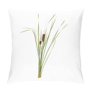 Personality  Beautiful Reeds With Catkins On White Background Pillow Covers