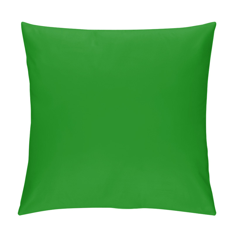 Personality  Global international color trend of 2021. Blank sheet of 008000 colors for further work. Reference color pillow covers