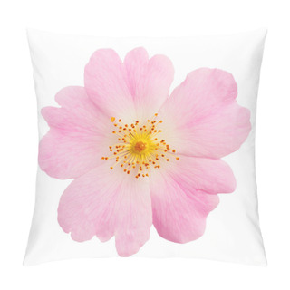 Personality  Flower Of Wild Rose Pillow Covers