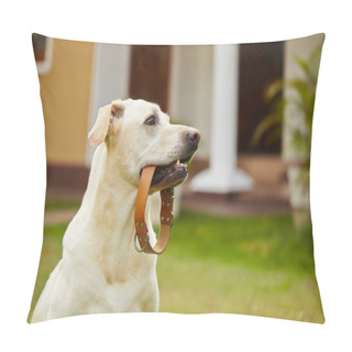 Personality  Dog Is Waiting Pillow Covers