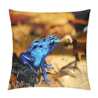 Personality  Colorful Blue Frog Dendrobates Tinctorius Pillow Covers