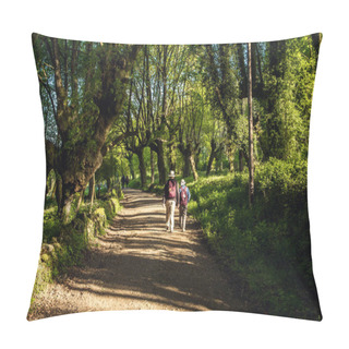 Personality  Couple Tourists Pilgrims Going The Way Of Santiago Among The Trees In The Grove. Pillow Covers
