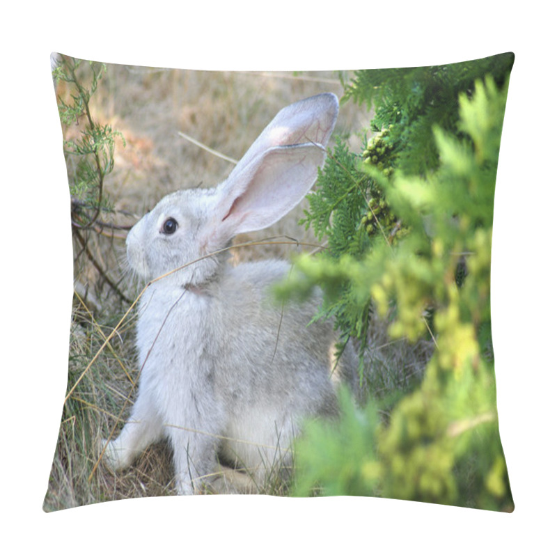 Personality  Easter Rabbit pillow covers
