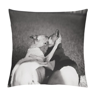 Personality  Beautiful Bride's Cats  Pillow Covers