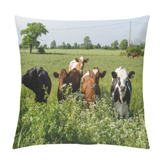 Personality  Curious Cattle In Lush Greenery Pillow Covers