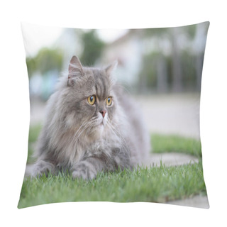 Personality  Persian Cat Pillow Covers