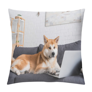 Personality  Akita Inu Dog Lying On Sofa Near Laptop In Modern Living Room Pillow Covers
