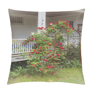 Personality  Roses On Trellis  Pillow Covers