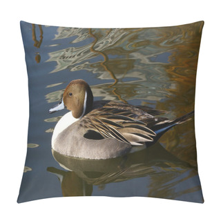 Personality  Duck Swimming On Gray Water Pillow Covers