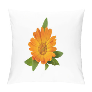 Personality  Calendula Officinalis Flower Isolated On White Background. Yellow Marigold Flower Blossom And Leaf For Design. Pillow Covers