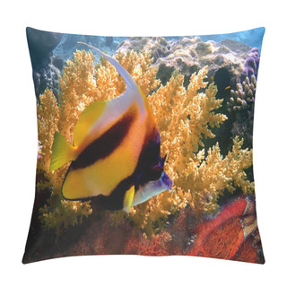 Personality  Pennant Coralfish (bannerfish) Pillow Covers