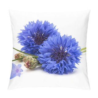 Personality  Blue Cornflower Buds Pillow Covers