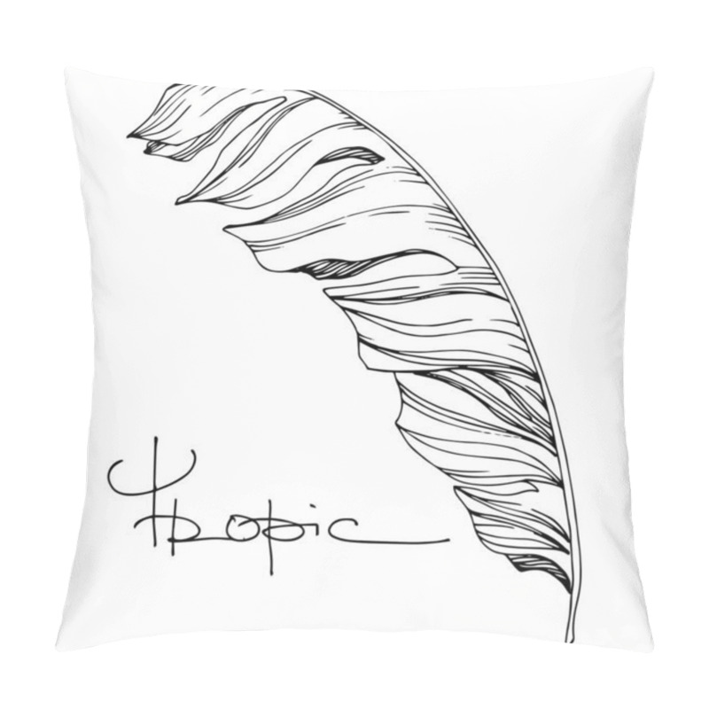 Personality  Vector Palm beach tree leaves jungle botanical. Black and white engraved ink art. Isolated leaf illustration element. pillow covers