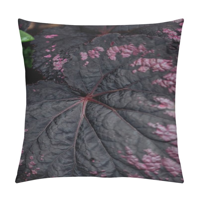 Personality  top view of dark textured leaves with pink dots pillow covers