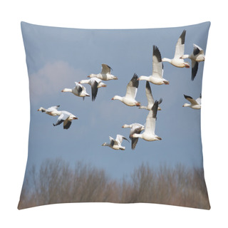 Personality  Snow Geese In Flight Pillow Covers