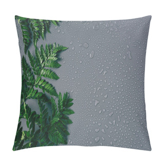 Personality  Flat Lay With Arrangement Of Green Fern Plants With Water Drops On Grey Backdrop Pillow Covers