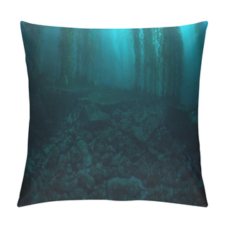 Personality  Forests Of Giant Kelp, Macrocystis Pyrifera, Commonly Grow In The Cold Waters Along The Coast Of California. This Marine Algae Reaches Over 100 Feet In Height And Provides Habitat For Many Species. Pillow Covers