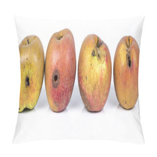 Personality  Four Worm Apple Maggot Larva Eating Apple Damaged On White Background Pillow Covers