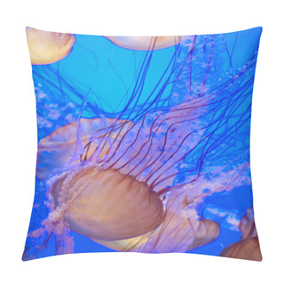 Personality  Vertical Group Of Jellies In Deep Blue Water Pillow Covers