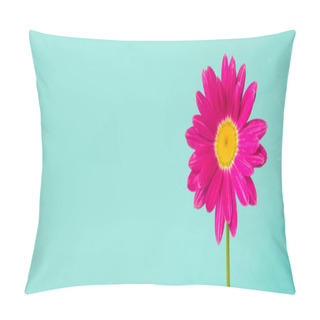 Personality  Pink Pyrethrum Flowers On Blue Background. Pink Daisy. Close Up. Copy Space For Text. Pillow Covers