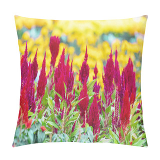 Personality  Celosia Is A Small Genus Of Edible And Ornamental Plants In The Amaranth Family, Amaranthaceae.  Pillow Covers