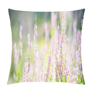 Personality  Forest Floor Of Blooming Pink Heather Flowers In Evergreen Forest At Sunrise, Close-up. Morning Haze. Environmental Conservation In Finland. Natural Floral Pattern Pillow Covers
