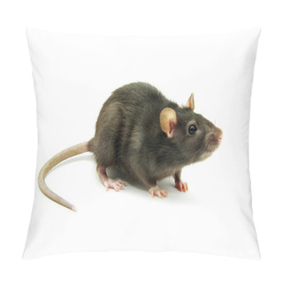 Personality  Rat On White Pillow Covers