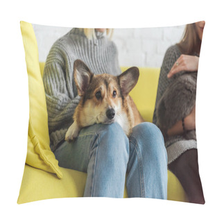 Personality  Cropped Shot Of Woman Sitting On Couch And Carrying Adorable Corgi Dog While Her Friend Holding Cat Pillow Covers